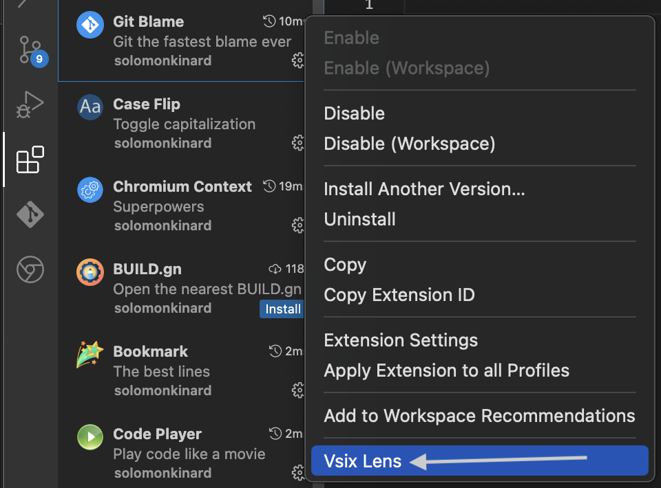 Vsix Lens